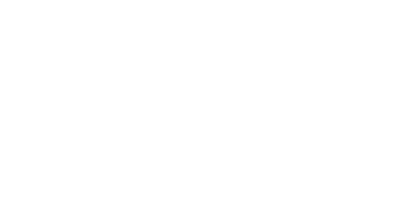 Techman robot